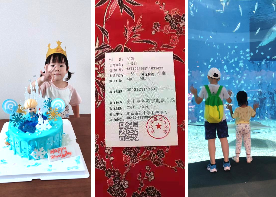 52847048-b3da-41d4-be44-b8b5238d2fca1639988372187