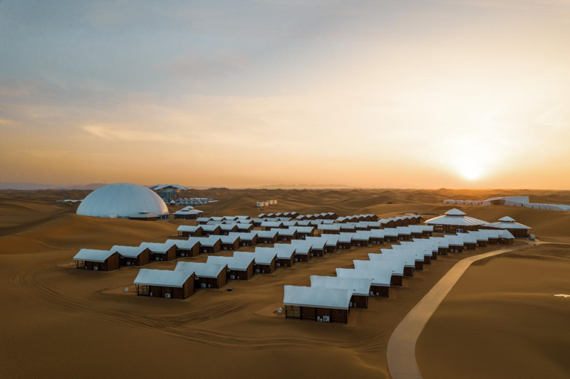 95ac0d3f-663a-4d1e-9b5a-72e040b617c61742455962896 95ac0d3f-663a-4d1e-9b5a-72e040b617c61742455962896