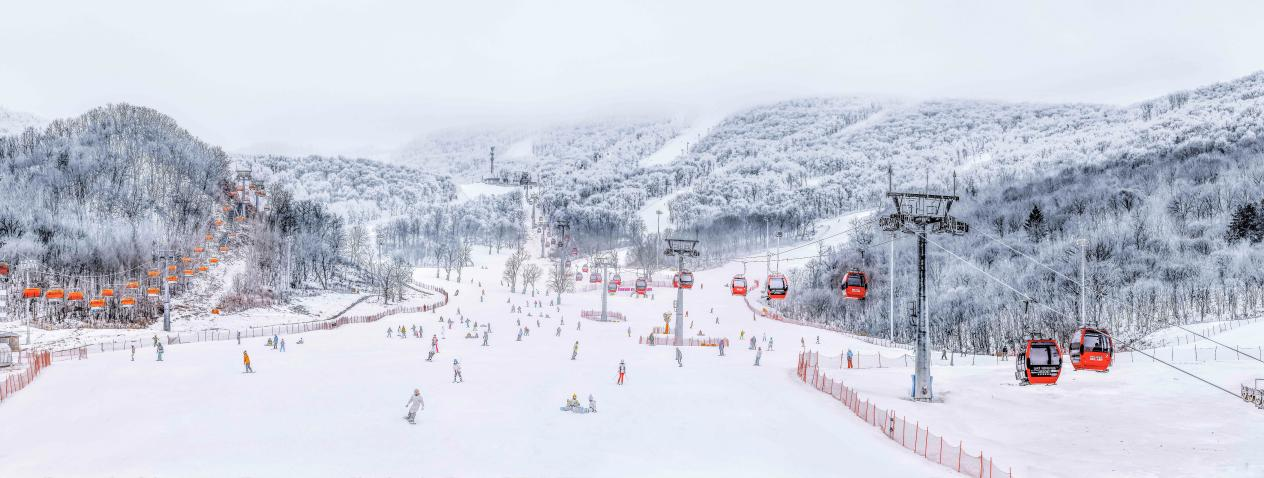 29557de4-b843-472d-a3ef-9c672ea2fd241761560065674