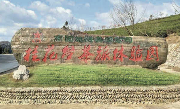 20190619023564.png s1906181125461814940.png