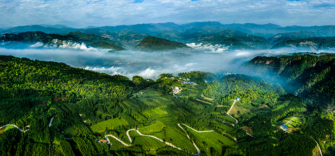 10df1203-68ef-4399-864b-fdaa02dbe3d01639709336612